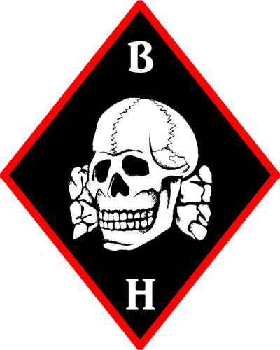 Blood and Honour Totenkopf Diamond patch