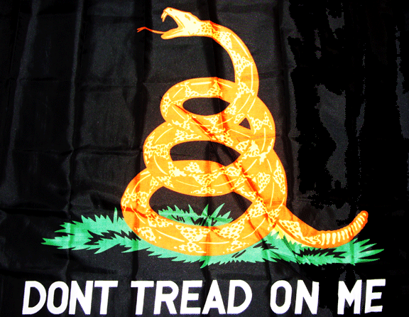 (Black) Don't Tread on Me flag