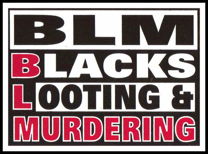 BLM vinyl sticker