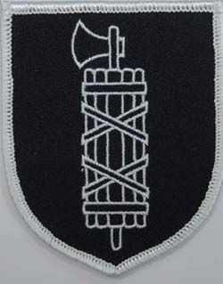 Italia Waffen SS patch (Fasces)