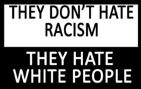 (20) They Don't Hate Racism