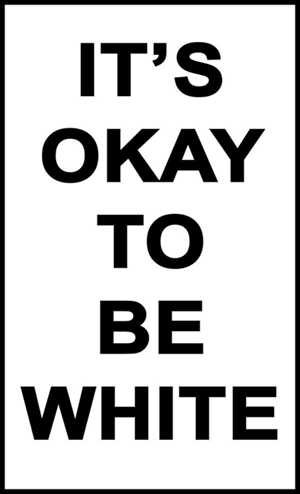 (20) It\'s OK To Be White stickers