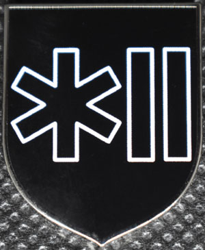 35th Waffen SS-Police Grenadier Division pin