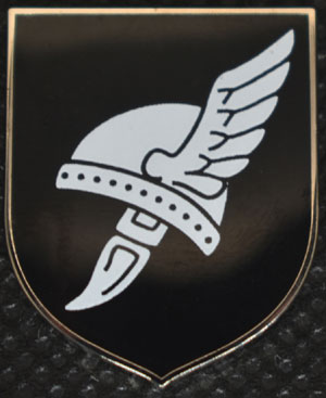 38th Waffen SS Division Nibelungen pin
