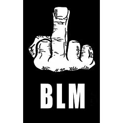 (20) Fuck BLM stickers
