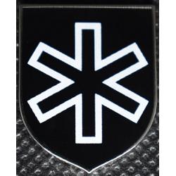 6th Waffen SS Mountain Division pin