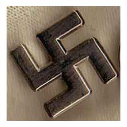 Swastika pin